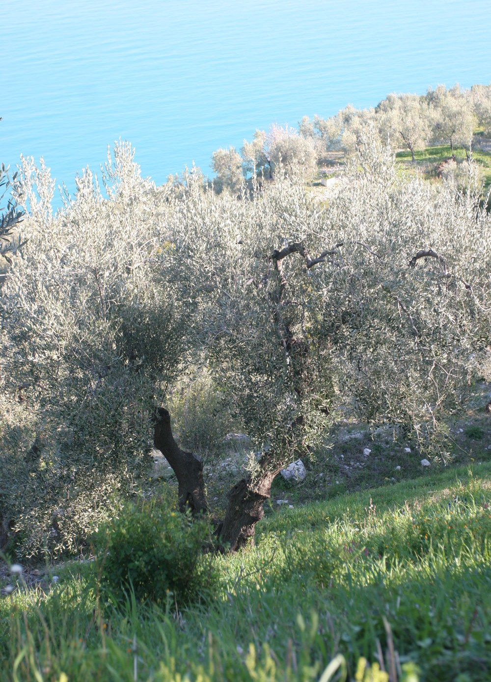 La péninsule du Gargano