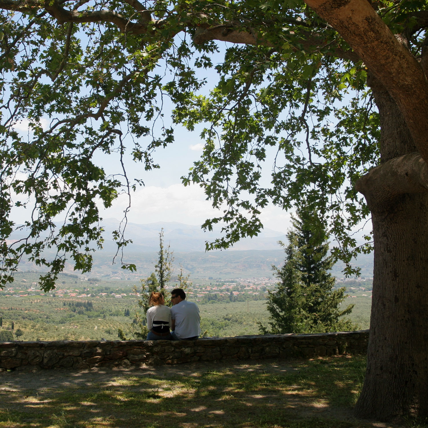 À l'ombre d'un platane de Mystra