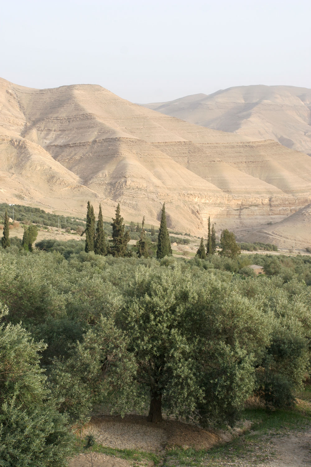 Paysage de la route des Rois