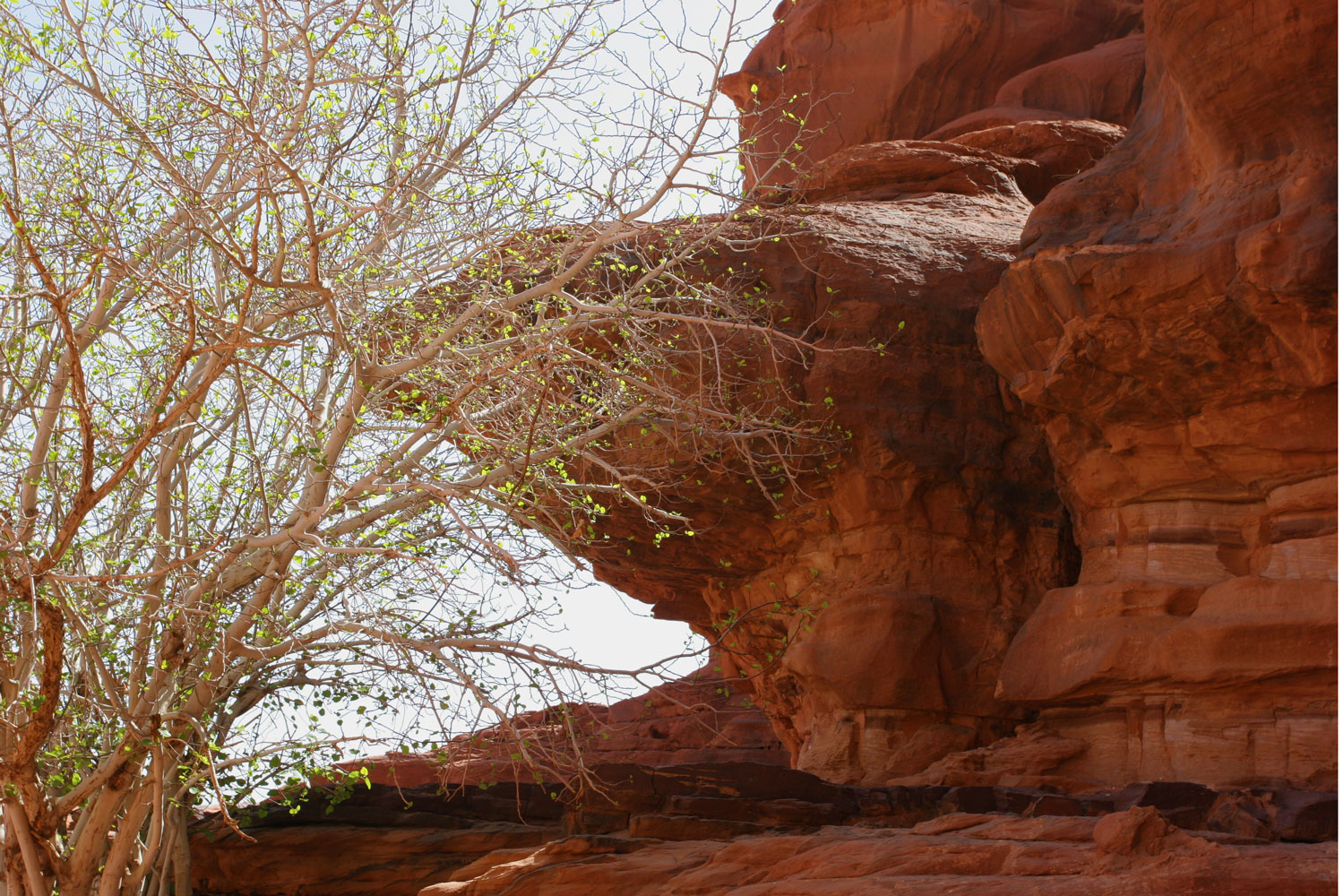 Le désert du Wadi Rum