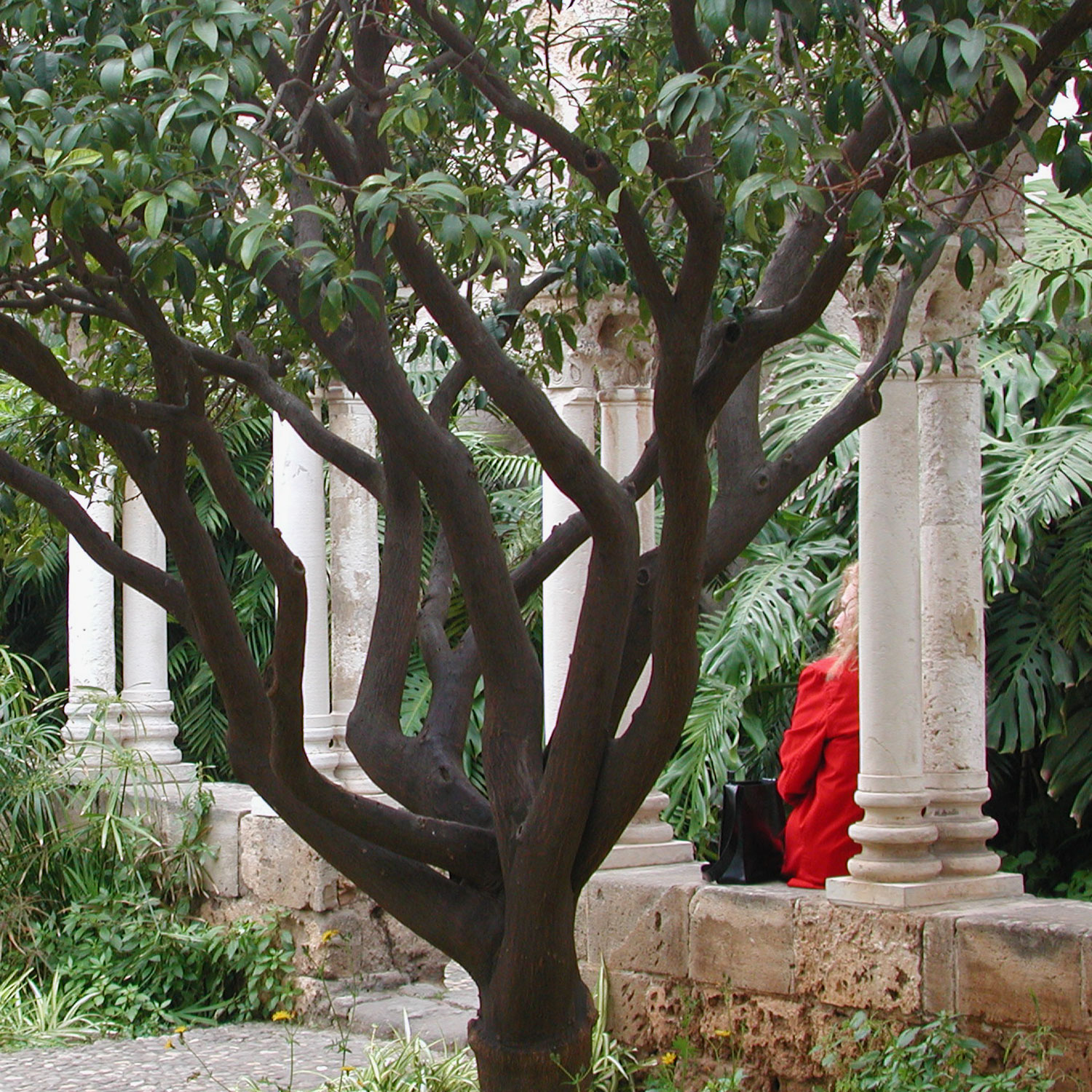 San Giovanni degli Eremiti, Palerme