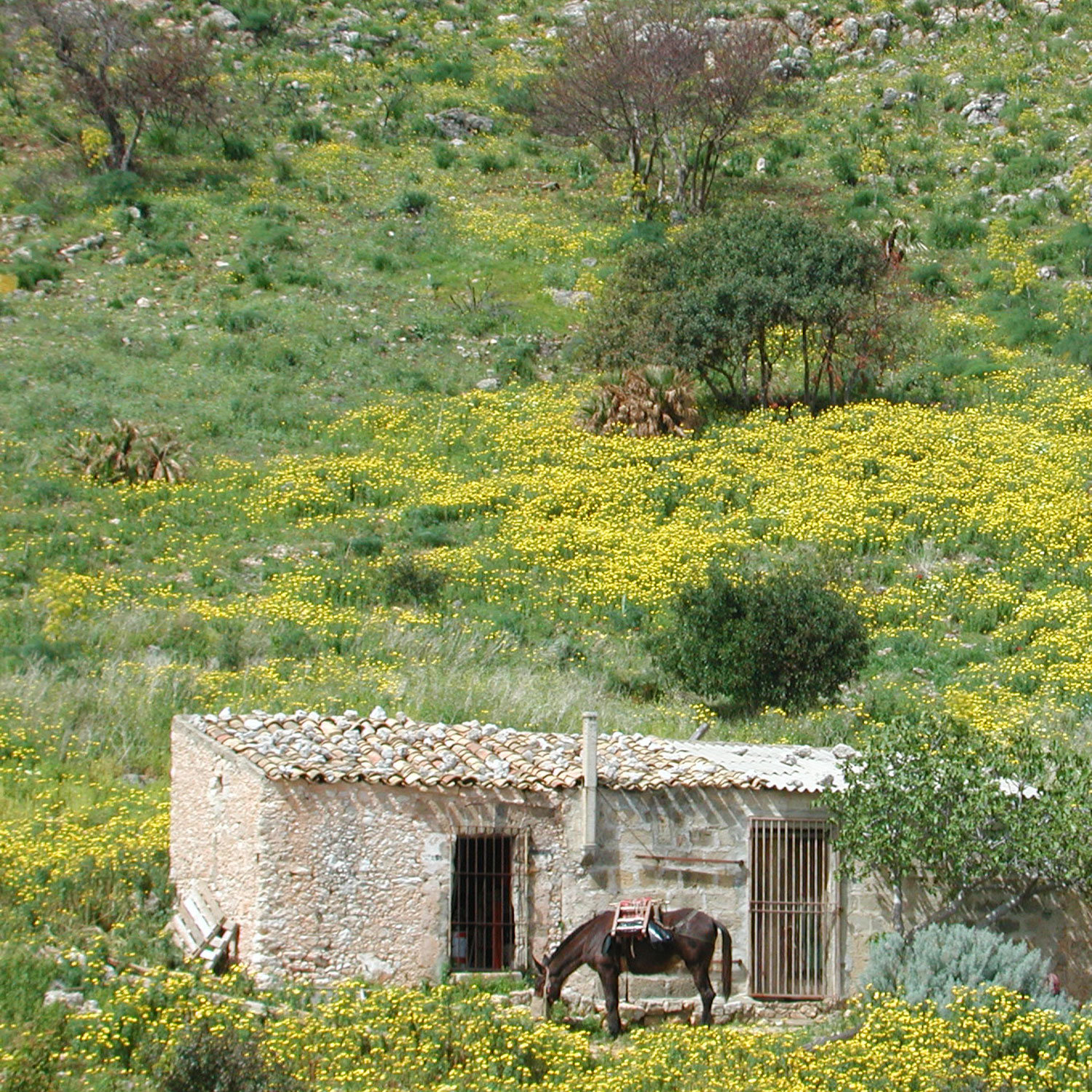 Réserve naturelle dello Zingaro