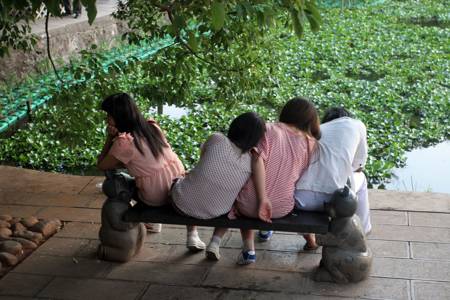 Jeunes sur un banc face au lac Émeraude, Kunming (Chine)