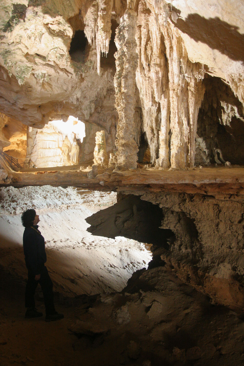 Grotte du bœuf marin