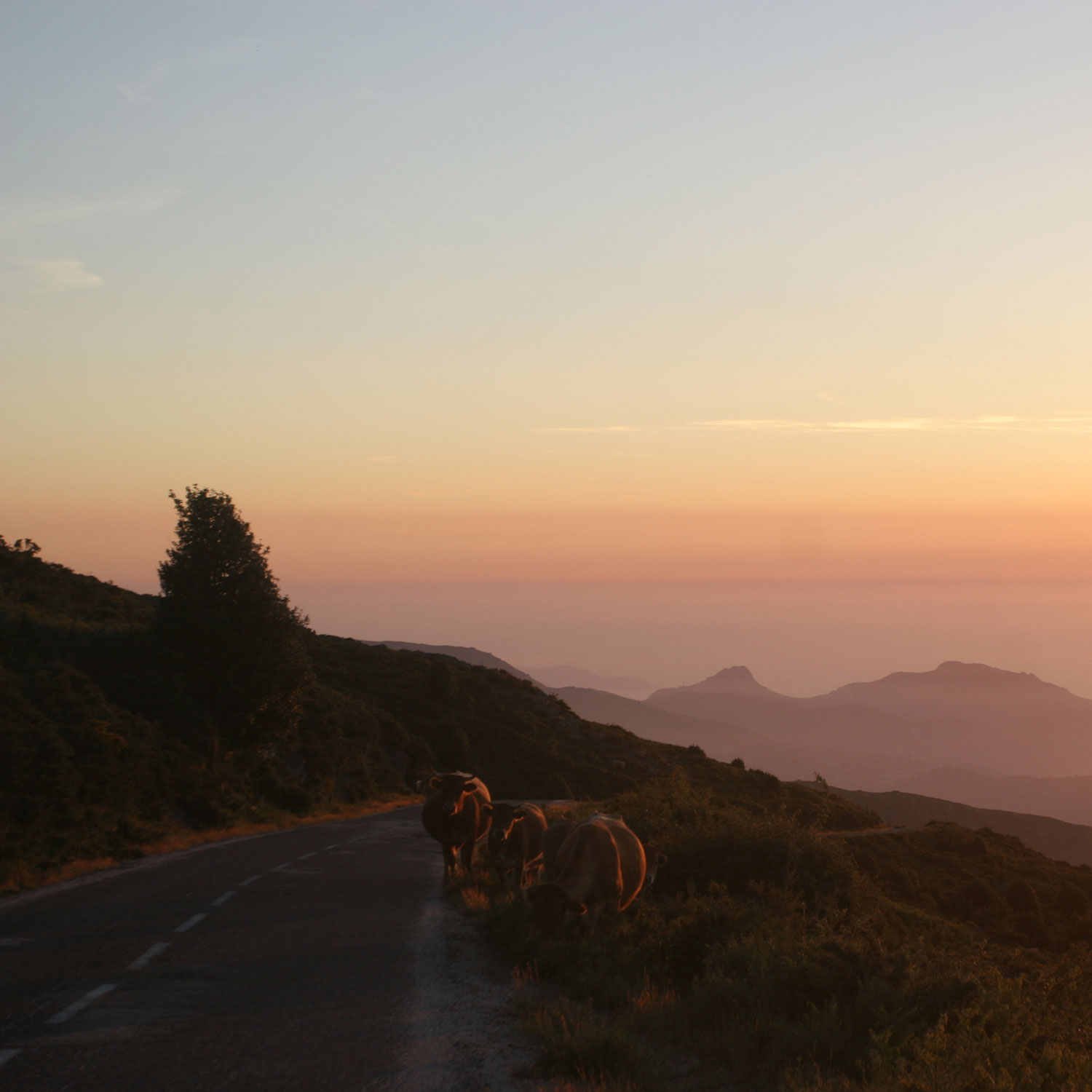 Vue du col de la Battaglia