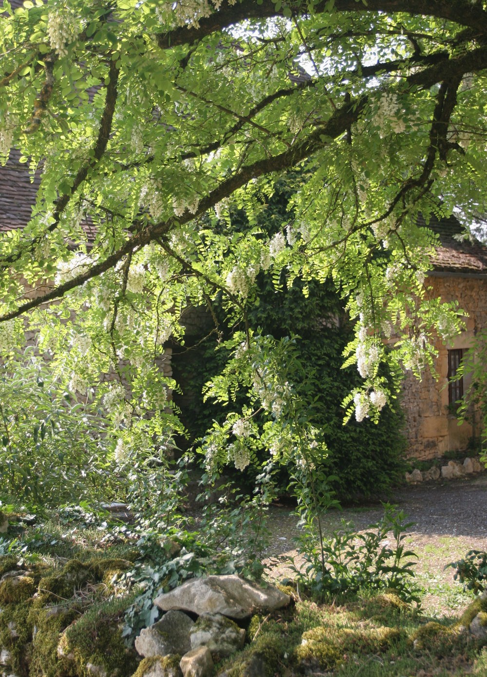 Maison du Périgord noir