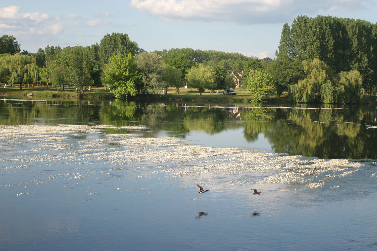 La Dordogne