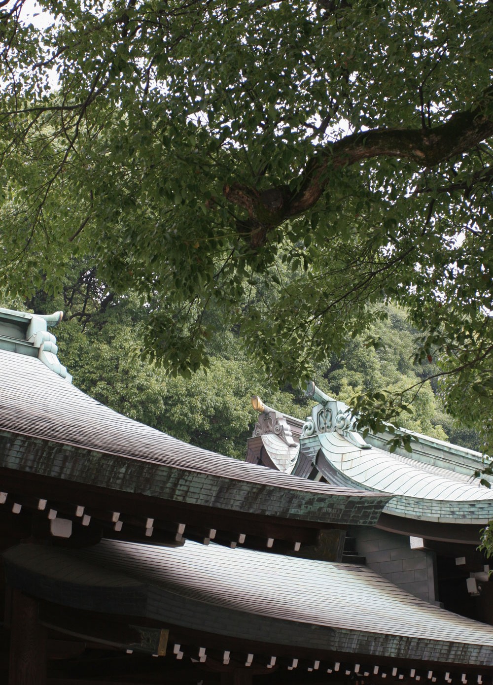 Toitures du sanctuaire Meiji de Tokyo