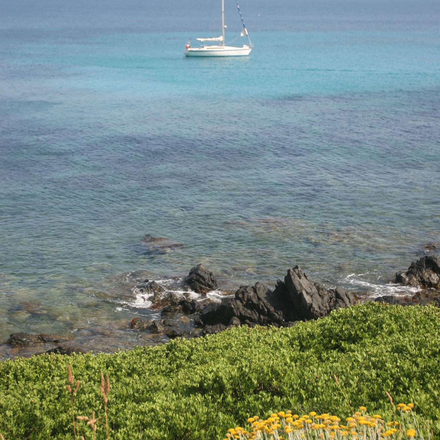 Voilier ancré près de la pointe de la Parata