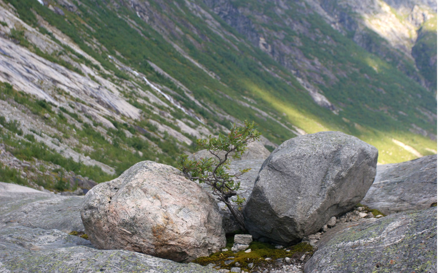 Abrisseau, vallée de Jostedøla