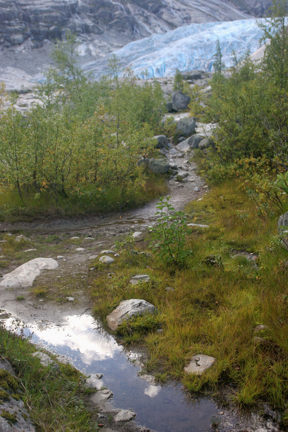 Paysage au pied du glacier de Nigardsbreen